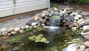 This is also a good time to educate yourself on the placement of gas and electric lines in the yard. How To Build A Backyard Waterfall In Lancaster County Pa