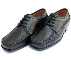 remove mold mildew from leather shoes