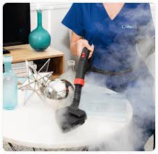 vapor steam cleaning services