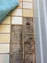 mold under bathroom floor tile