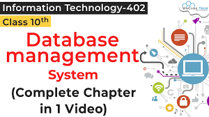 database management system cl 10 it