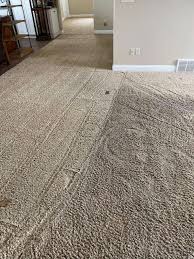 same day carpet cleaning local carpet