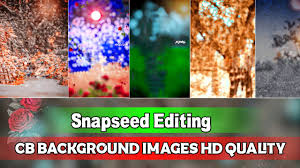 snapseed photo editing background
