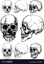 Skull Design