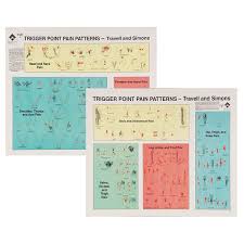 Travell Trigger Point Wall Chart Set Of 2 Laminate