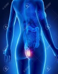 Depending on their location, they often result in unrelenting discomfort, pain, itchiness. Female Hemorrhoids Concept X Ray Posterior View Stock Photo Picture And Royalty Free Image Image 21649876