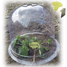 6 Pack Garden Bell Plant Dome Plastic