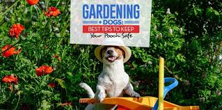 Gardening With Dogs 9 Tips To Keep