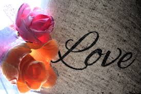 photo of love background flowers
