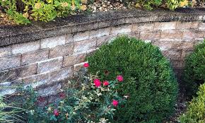 How To Clean Mold Off Retaining Walls