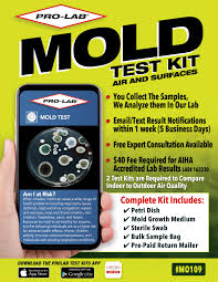 pro lab indoor mold test kit identify