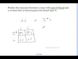 Amobea sister multiple alleles worksheet. Multiple Alleles And Blood Type A Quick Tutorial Youtube