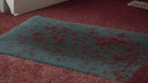 steam cleaning get blood out of carpet