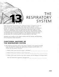 19 january 2021 tak berkategori no comments. The Respiratory System