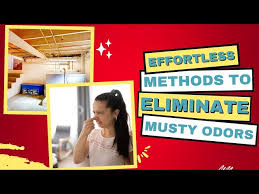 How To Eliminate Musty Smell In