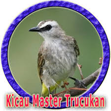 Overall rating of suara burung trucukan ngerol is 4,0. Kicau Burung Trucuk Master Mp3 1 0 0 Android Apk Free Download Apkturbo
