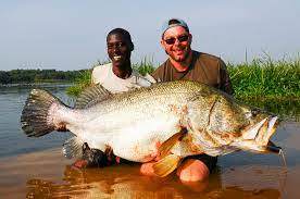 sport fishing in murchison falls national park - Uganda Safaris