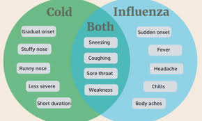 How To Identify If You Have The Flu Or Just A Common Cold