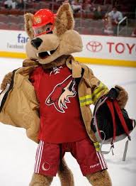Assuming the nhl reconstitutes the divisions and conferences used prior to. Putting Out The Flames Coyotes Hockey Arizona Coyotes Hockey Teams