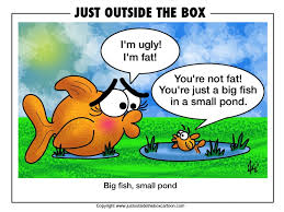 big fish small pond archives just