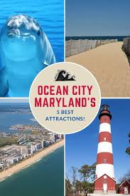 ocean city attractions and activities