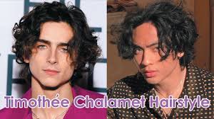 Work your natural curls like timothée chalamet has done. Timothee Chalamet Inspired Hairstyle Tutorial Youtube