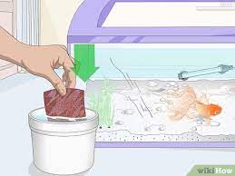 How To Fix Scratches On An Aquarium 10