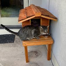 Small Insulated Cat House With Platform