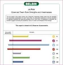 Individual Belbin Team Role Profile Full 360 Belbin Ireland