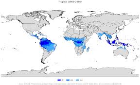 Tropical Climate Wikipedia