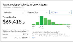 Complete Java Developer Salary Data