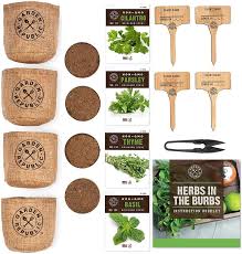 Diy Culinary Herb Garden Starter Kit