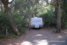 Its historical significance and stunning scenery draw travelers from all around the globe. Henry Cowell Redwoods State Park Campsite Photos Camping Info