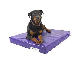 Dog Bed Chew Resistant Heavy Duty Tough