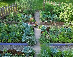 grow your own vegetable patch