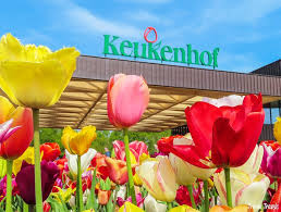 Keukenhof guided tour from rotterdam plus madurodam. Amsterdam To Keukenhof A Perfect Bucket List Day Trip For Tulips
