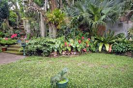 kandyan home garden in sri lanka