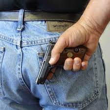 wallet concealment holster for