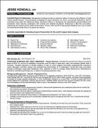 Professional Resume Writers Albany Ny   Resume Examples For Dental     