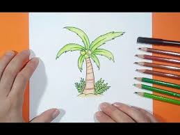 Es una manualidad muy bonita que los niños pueden presentar en clase. Como Dibujar Una Palmera Paso A Paso 4 How To Draw A Palm Tree 4 Youtube