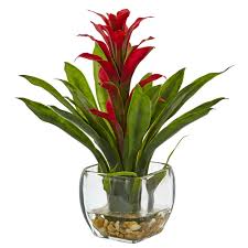 Bromeliad With Vase Arrangement Red