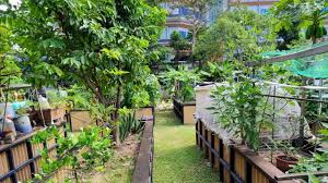 private allotments hort park singapore