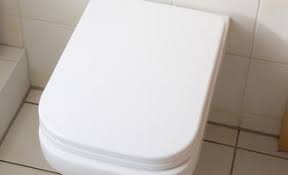 Toilettes (250) sièges de toilette (149) pièces de toilettes (192) urinoirs et bidets (39). Toilette Selbst De