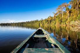What are the best things to do in manaus? Amazonas Regenwald Um Manaus Brasilien Franks Travelbox