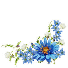 گل آبی مناسب برای حاشیه برگه – 123گرافیک