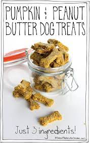 Homemade peanut butter dog biscuit recipe. Pumpkin Peanut Butter Dog Treats Just 3 Ingredients It Doesn T Taste Like Chicken