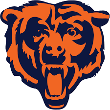 Image result for chicago bears