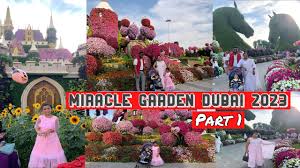 miracle garden dubai 2023 the world