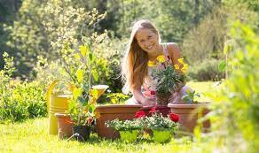Alan Titchmarsh Gardening Tips For