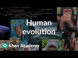Human Evolution Overview Video Evolution Khan Academy